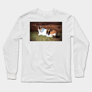 Calico Beauty Long Sleeve T-Shirt